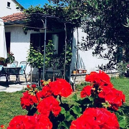 Studio Benassi Porec Luaran gambar